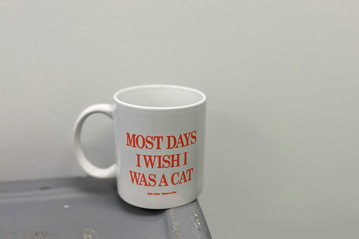 Funny mug saying: Мost days I wish I was a cat