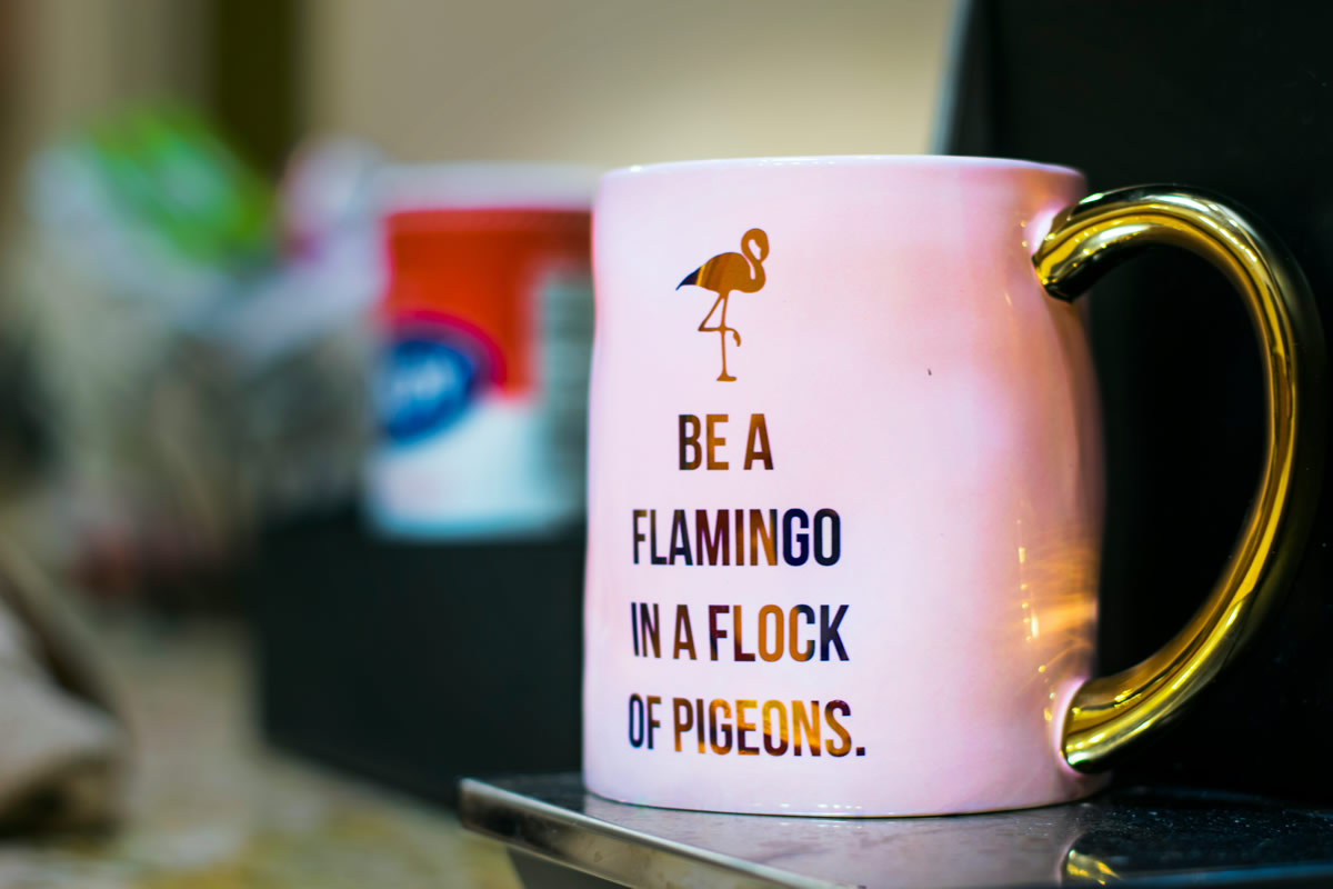 Mug that expresses your style and mood saying - Be a flamingo in a flock of pigeons.